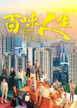 雾港迷踪第二季 热播电视剧全集